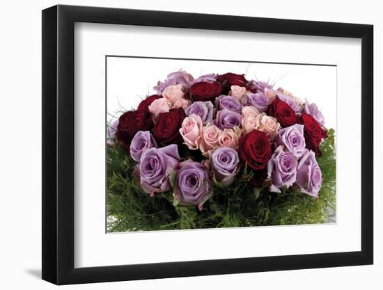 Roses-Fabio Petroni-Framed Photographic Print