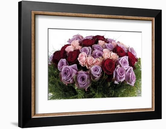 Roses-Fabio Petroni-Framed Photographic Print