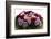 Roses-Fabio Petroni-Framed Photographic Print