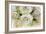 Roses-Fabio Petroni-Framed Photographic Print