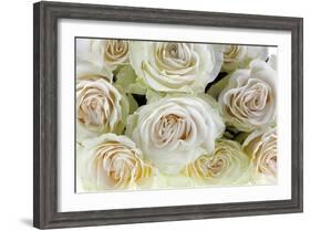 Roses-Fabio Petroni-Framed Photographic Print