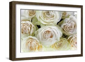 Roses-Fabio Petroni-Framed Photographic Print
