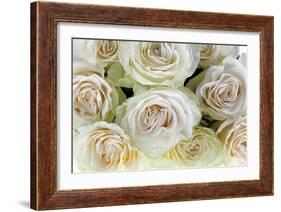 Roses-Fabio Petroni-Framed Photographic Print