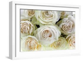 Roses-Fabio Petroni-Framed Photographic Print
