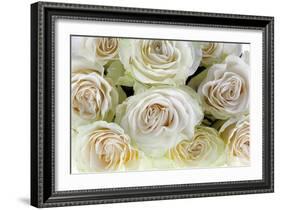 Roses-Fabio Petroni-Framed Photographic Print