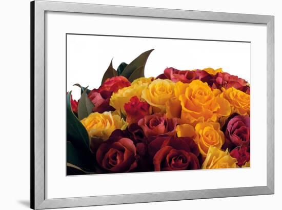 Roses-Fabio Petroni-Framed Photographic Print