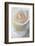 Roses-Fabio Petroni-Framed Photographic Print