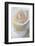 Roses-Fabio Petroni-Framed Photographic Print