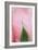 Roses-Fabio Petroni-Framed Photographic Print