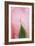 Roses-Fabio Petroni-Framed Photographic Print