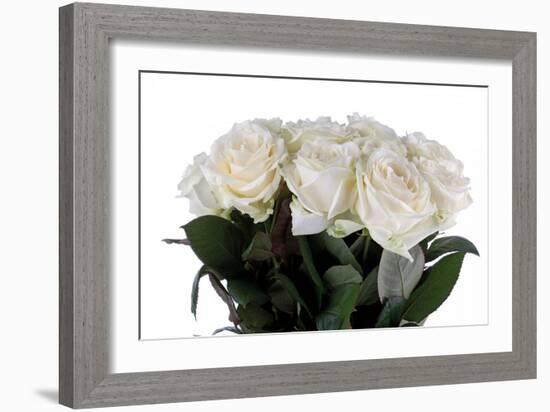 Roses-Fabio Petroni-Framed Photographic Print