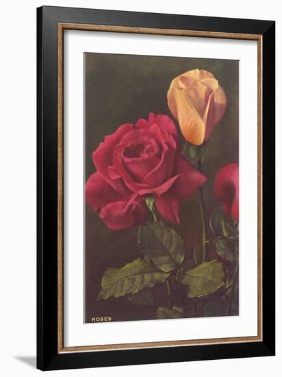 Roses-null-Framed Art Print