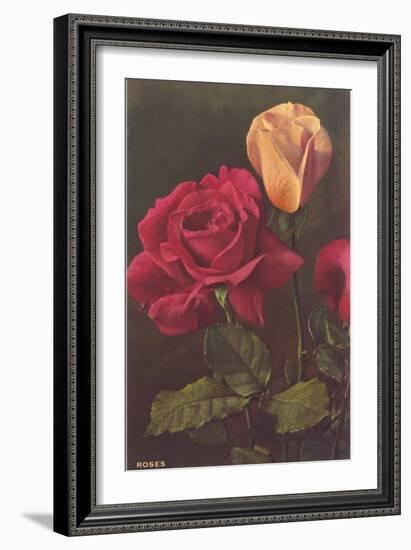 Roses-null-Framed Art Print