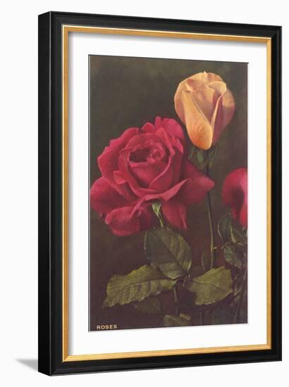 Roses-null-Framed Art Print