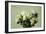 Roses-Henri Fantin-Latour-Framed Giclee Print