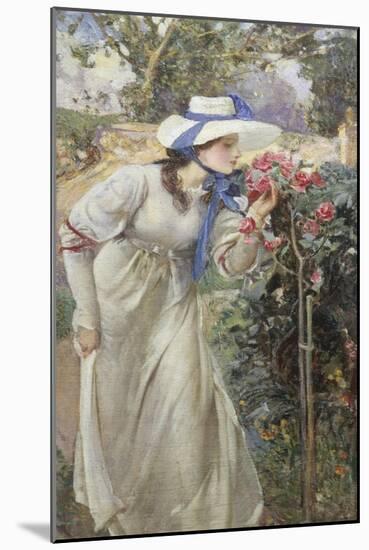 Roses-Harry Watson-Mounted Giclee Print
