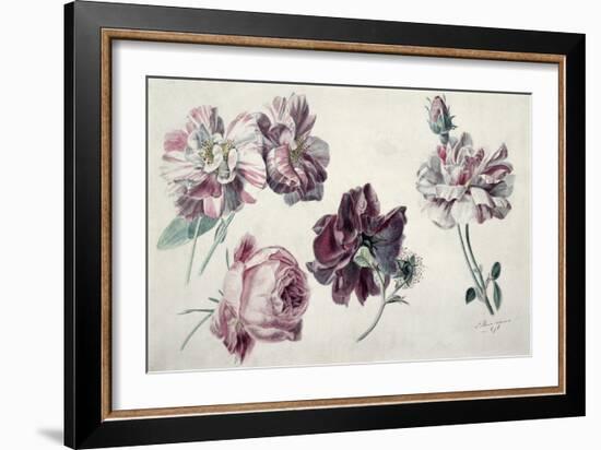 Roses-Sir Lawrence Alma-Tadema-Framed Giclee Print