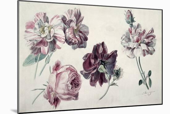 Roses-Sir Lawrence Alma-Tadema-Mounted Giclee Print