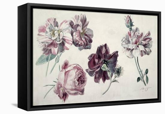 Roses-Sir Lawrence Alma-Tadema-Framed Premier Image Canvas