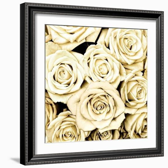 Roses-Kate Bennett-Framed Art Print