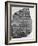 Rosetta Stone-null-Framed Photographic Print