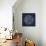 Rosette II Indigo-Wild Apple Portfolio-Framed Stretched Canvas displayed on a wall