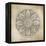 Rosette VIII Neutral-Wild Apple Portfolio-Framed Stretched Canvas