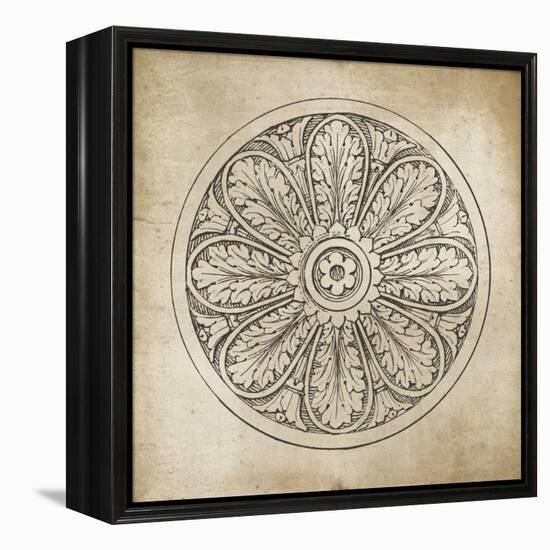 Rosette VIII Neutral-Wild Apple Portfolio-Framed Stretched Canvas