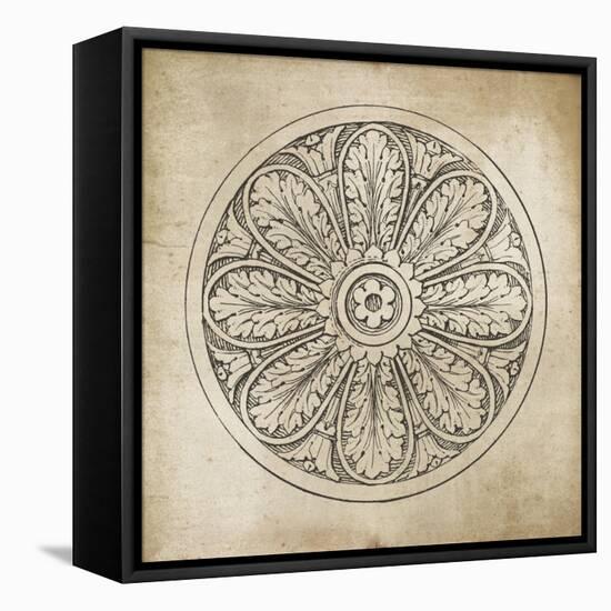 Rosette VIII Neutral-Wild Apple Portfolio-Framed Stretched Canvas