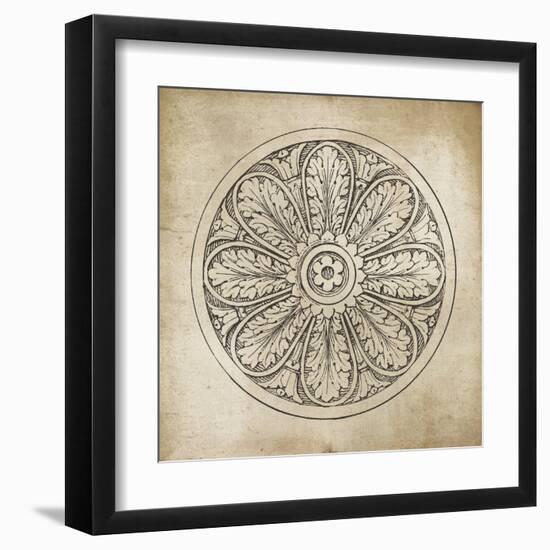 Rosette VIII Neutral-Wild Apple Portfolio-Framed Art Print