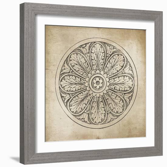 Rosette VIII Neutral-Wild Apple Portfolio-Framed Art Print