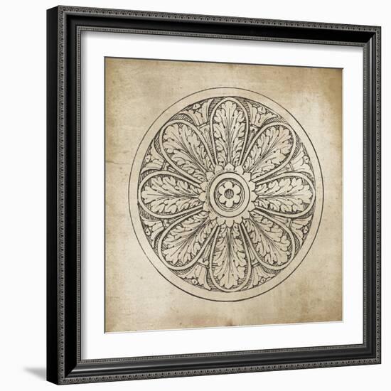 Rosette VIII Neutral-Wild Apple Portfolio-Framed Art Print