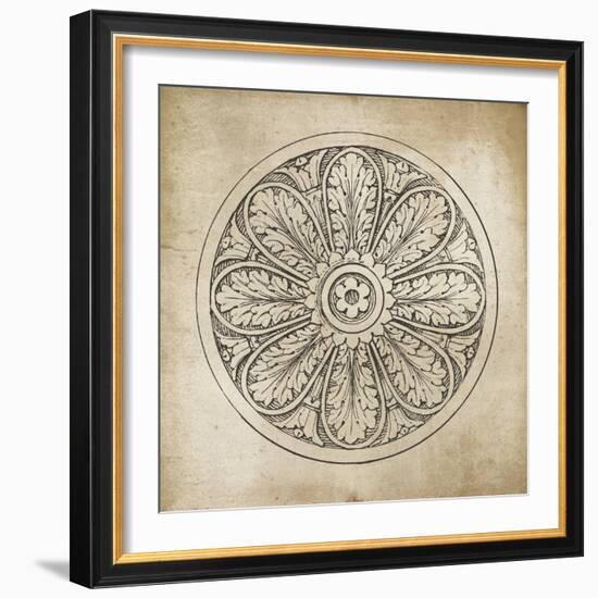 Rosette VIII Neutral-Wild Apple Portfolio-Framed Art Print