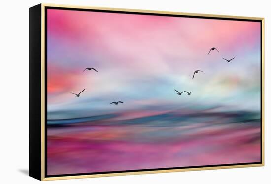 Rosewater-Ursula Abresch-Framed Premier Image Canvas