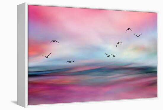 Rosewater-Ursula Abresch-Framed Premier Image Canvas