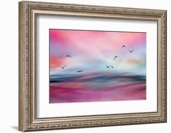 Rosewater-Ursula Abresch-Framed Photographic Print