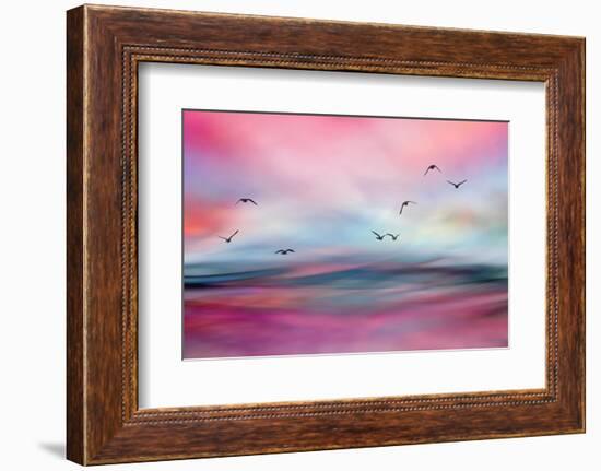 Rosewater-Ursula Abresch-Framed Photographic Print