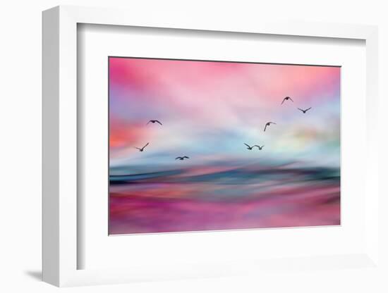 Rosewater-Ursula Abresch-Framed Photographic Print