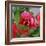 Rosey Dew Drops I-Nicole Katano-Framed Photo