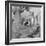 Rosey Dew Drops-Nicole Katano-Framed Photo