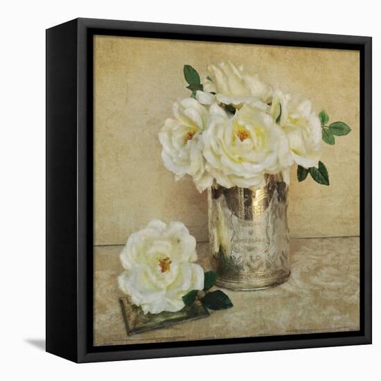 Rosey Sheen 1-Cristin Atria-Framed Stretched Canvas