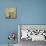Rosey Sheen 1-Cristin Atria-Mounted Art Print displayed on a wall