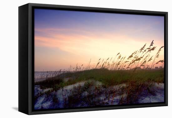 Rosey Sunset II-Alan Hausenflock-Framed Premier Image Canvas