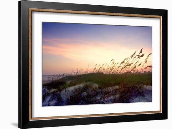 Rosey Sunset II-Alan Hausenflock-Framed Photographic Print