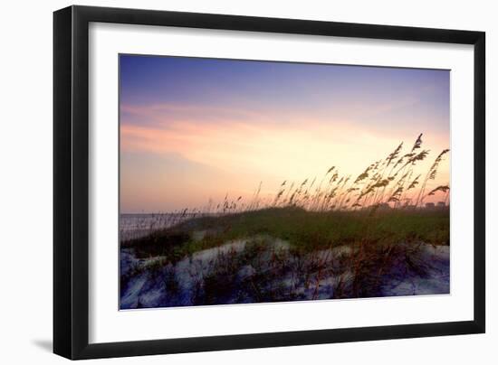 Rosey Sunset II-Alan Hausenflock-Framed Photographic Print