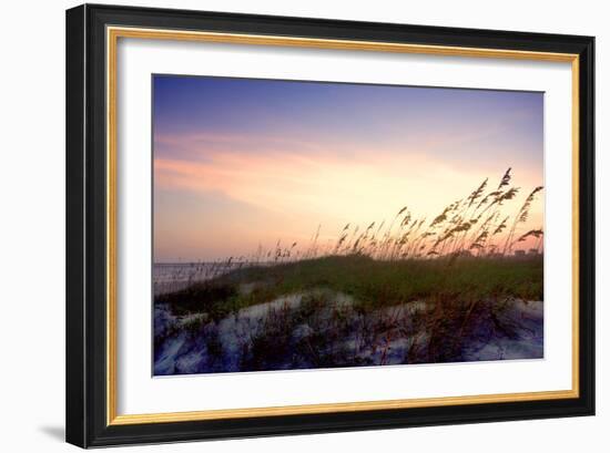 Rosey Sunset II-Alan Hausenflock-Framed Photographic Print