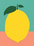 Five Lemons in a Net Bag-Rosi Feist-Giclee Print