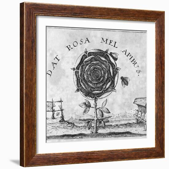 Rosicrucian Mystical Symbol-Middle Temple Library-Framed Premium Photographic Print