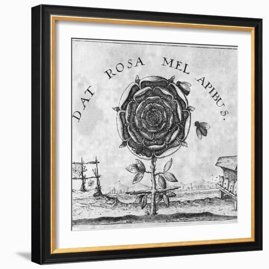 Rosicrucian Mystical Symbol-Middle Temple Library-Framed Premium Photographic Print