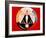 Rosicrucian Symbol of the Hermetic Order of the Golden Dawn-null-Framed Giclee Print